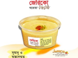 জেরিকো ঘরোয়া ফিরনী